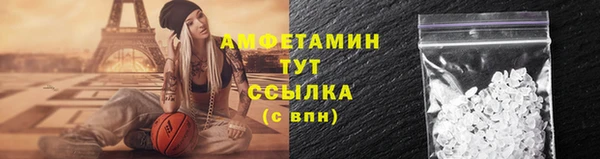дживик Бородино
