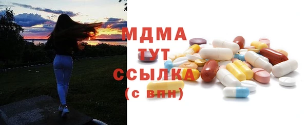 дживик Бородино