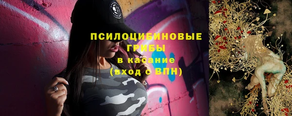 амф Бугульма