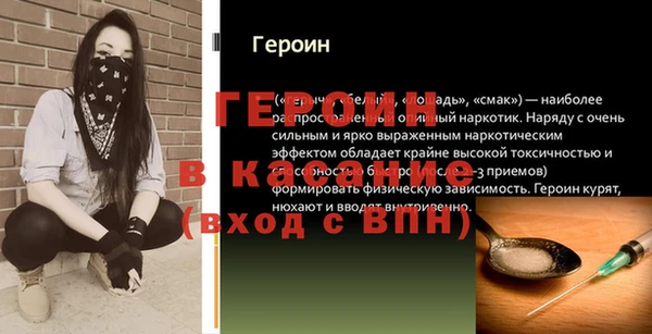 дживик Бородино